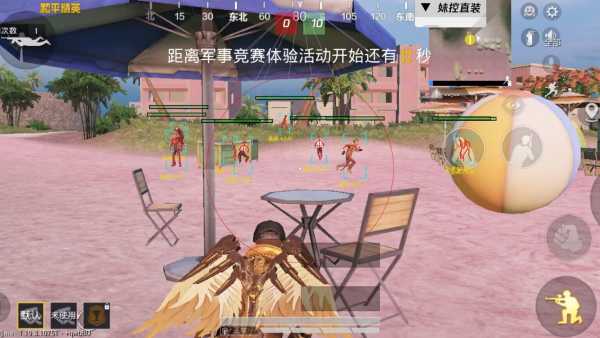 揭秘和平精英辅助工具的真相：你真的需要它吗